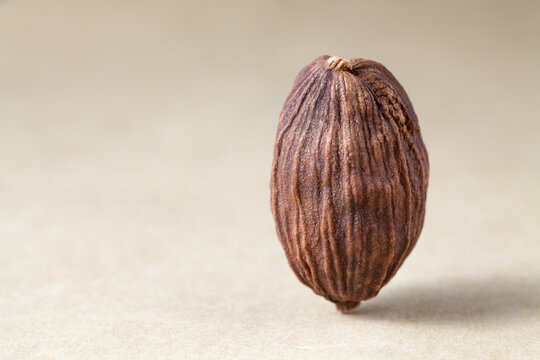 Close-up of amomum tsaoko on brown background