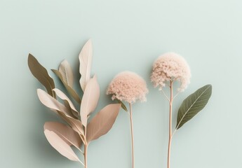 Minimalist leaves on a pale flat background wall — Plants — interior design graphic resource with film grain realism — PINK, TEAL, BLUE — Realistic renders