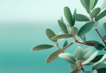 Minimalist Teal Green leaves on a pale flat background wall — Plants and Leaves — interior design graphic resource with film grain realism — TEAL, GREEN — Realistic renders