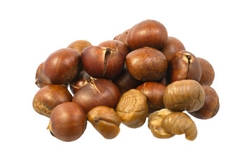 chestnut isolated on white background