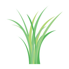 Fototapeta na wymiar colorful green grass object on white background, vector illustration