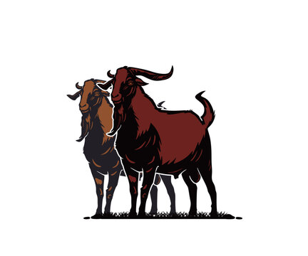 KIKO GOAT, HEALTHY AND STRONG RAM STANDING, silhouette of great goat at farm vector ilustrations.