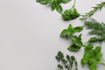Obraz premium Composition with different fresh herbs on grey background