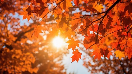 Autumn leaves in the sunlight, in the style of orange and crimson. AI generated.