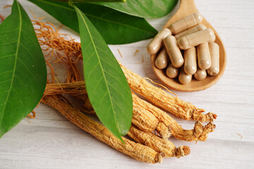 Ginseng roots and green leaf, healthy food.