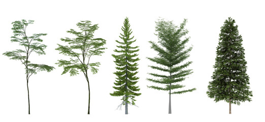 set of tree plants isolated on transparent background. PNG file