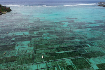aerieal view of seaweed farm at Lembongan island in Indonesia © MICHEL