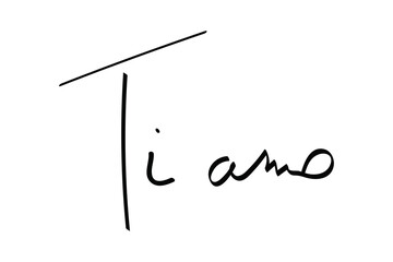 Digital png illustration of ti amo text on transparent background