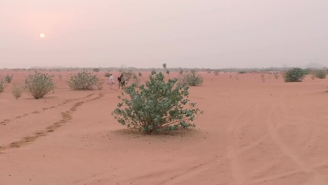 A drone flies over two horsemen riding on desert sand among green bushes