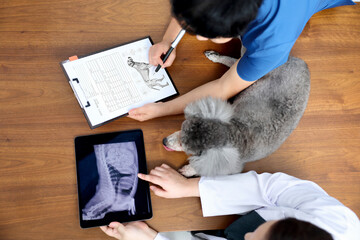 Fototapeta na wymiar 동물병원 의료진들이 태블릿 스크린의 강아지 엑스레이사진을 판독하는 모습
