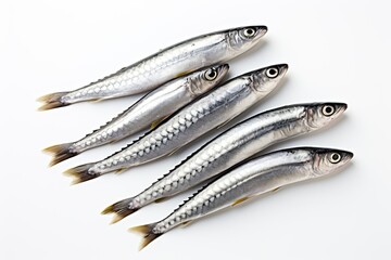 Mackerel fish on white isolated background