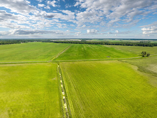 Obraz premium Planted fields illuminated by bright sun give good harvest