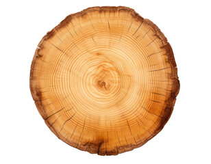 Cross section of a big tree isolated on transparent background