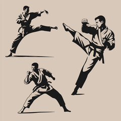 Martial art karate pose fight
