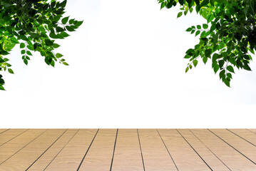 Perspective wood table with green leaves branch on white background, Display wood with green leaves and copy space on white background