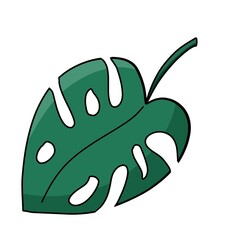 Ilustrasi daun monstera hijau tua