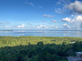 Fototapeta na wymiar Serene Coastal Beauty: Clear Skies, Lush Tropical Forest, and Azure Waters