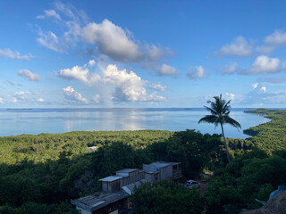 Serene Coastal Beauty: Clear Skies, Lush Tropical Forest, and Azure Waters