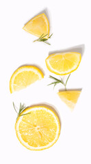 Fresh lemon isolated. Slices with rosemary on white background