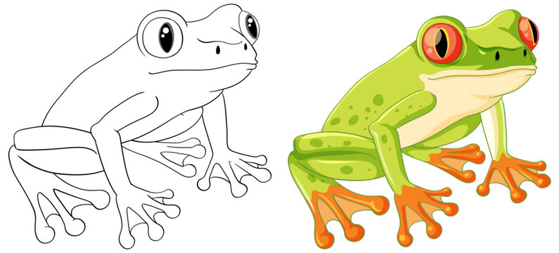 Outline Green Frog Cartoon for Coloring
