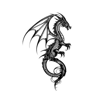 Transparent Black Dragon Drawing Tattoo Vector