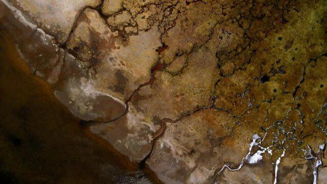 Aerial view of lake vegetation, Lauca National Park in Chile - top down, drone shot