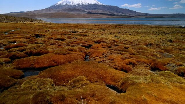 Aerial view of Chungara Lake , Lauca National Park in Chile - reveal, drone shot