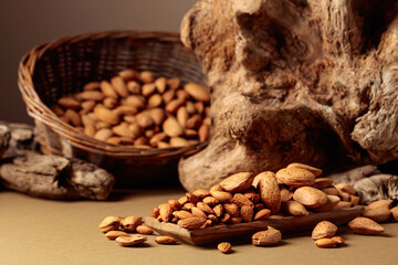 Still life with fresh-cropped almonds and old snags.