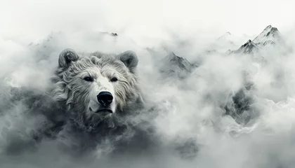 The contours of a bear face in the mist. Mist texture. Paint water mix. Gray glowing fog cloud wave abstract art background with free space. © Kyrtap_Studio