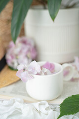 A book on which there is a cup and a branch of a pink hydrangea