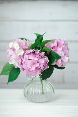 Pink hydrangea flowers in a vase on the background of a home interior