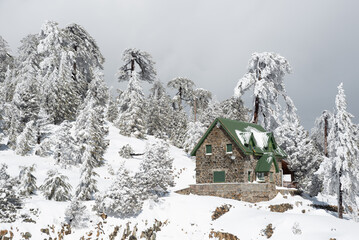 Winter snow landscape at the mountains. Fir tree covered in snow. Holiday chalet in the forest on the mountain slope