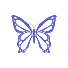butterfly on white background