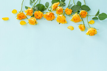yellow roses on green paper background