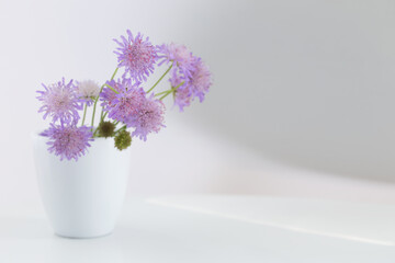 summer purple wild flowers in vase on white backgrround