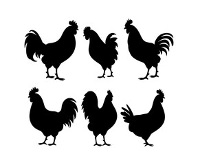 Set of detailed quality vector silhouettes of chickens - hens, roosters