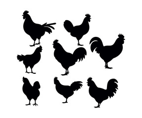 Set of detailed quality vector silhouettes of chickens - hens, roosters