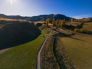 road to the mountains