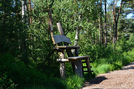 Trail in the Fen Grosses unf Weisses Moor, Lower Saxony