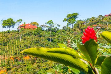 Paisajes de la Ruta del Café, Chiapas