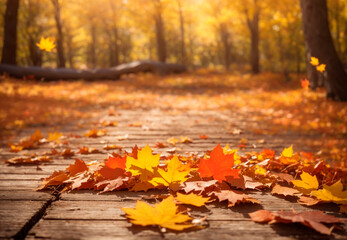 Autumn leaves on the wooden table, sunlit forest in the background