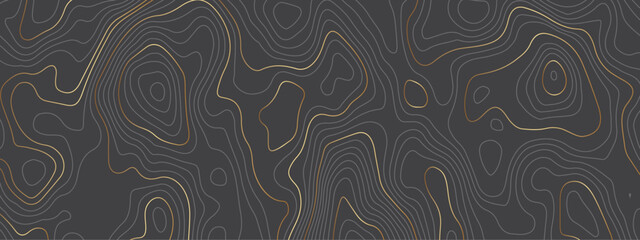 Abstract topographic contours map background. Topography black and golden wave lines vector background. Geographic abstract grid. Wavy curve lines banner design.