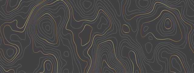 Abstract topographic contours map background. Topography black and golden wave lines vector background. Geographic abstract grid. Wavy curve lines banner design.