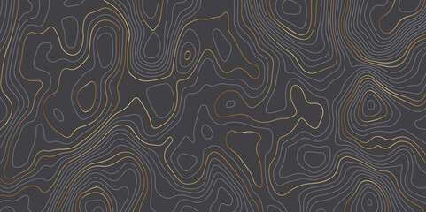 Abstract topographic contours map background. Topography black and golden wave lines vector background. Geographic abstract grid. Wavy curve lines banner design.
