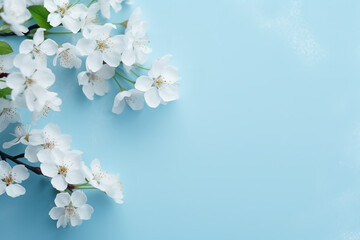 cherry blossoms on a blue background in free photo, in the style of light navy and light aquamarine, 