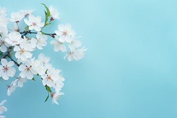 cherry blossoms on a blue background in free photo, in the style of light navy and light aquamarine, photorealistic compositions