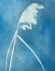 Summer flowers cyanotype blue print. Summer illustration - 638307748