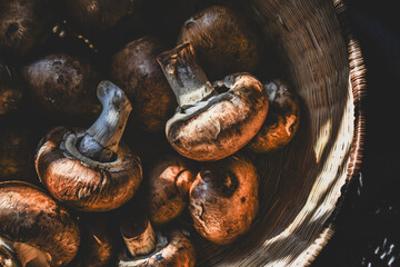 fresh edible portobello mushrooms in a basket.