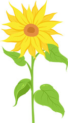 Yellow Sunflower Flat Illustration Isolated