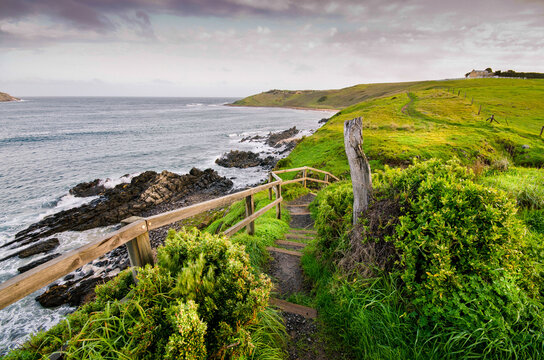Coastal trail in the winter
